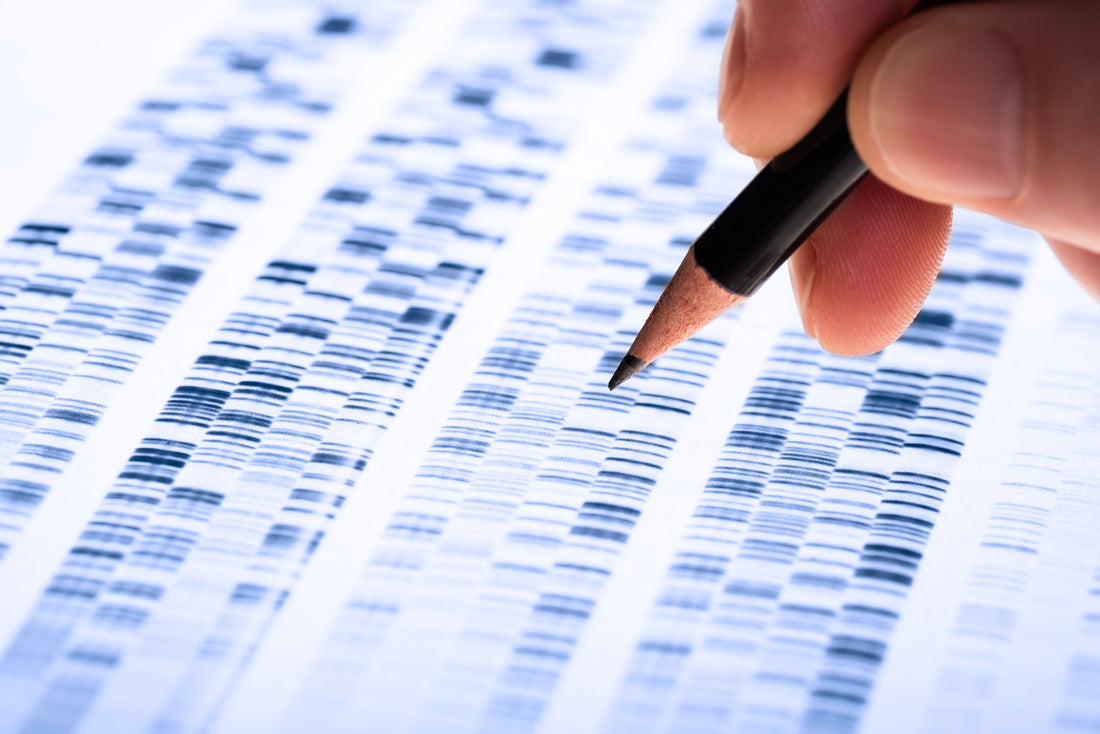 Precision Medicine: When Science Meets Personalized Health!