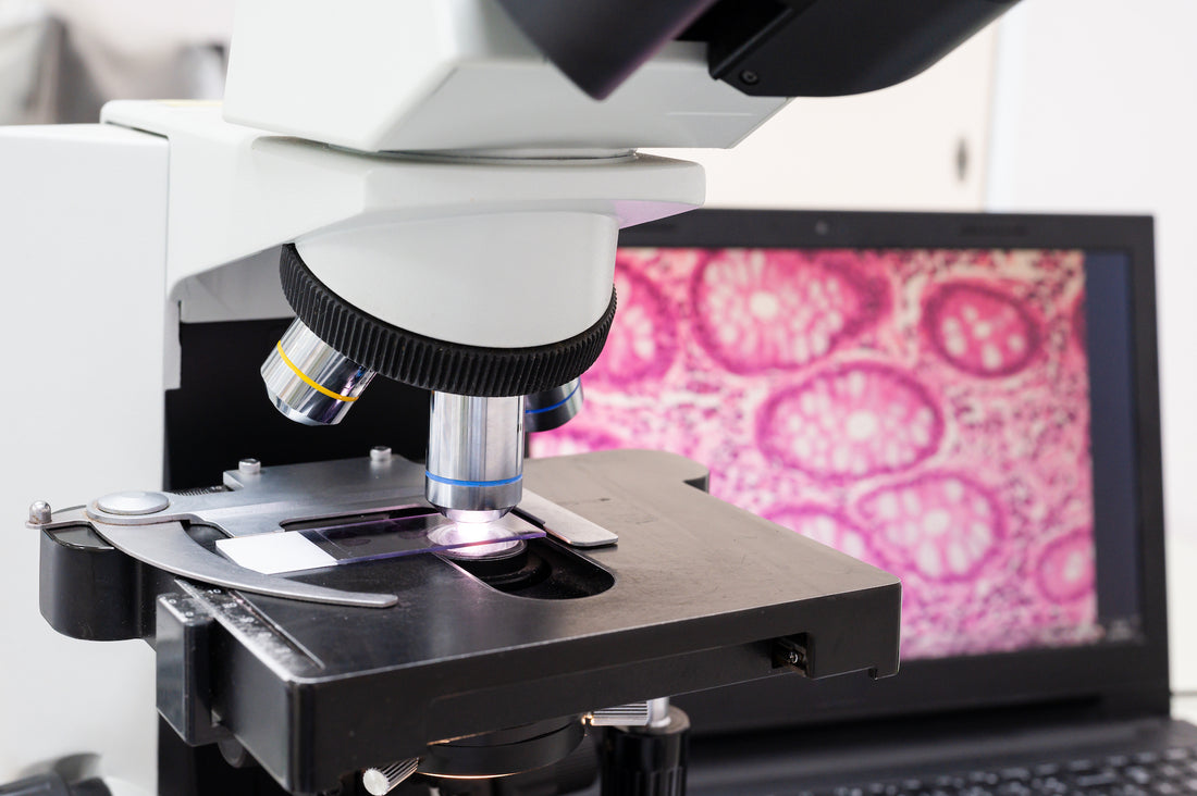 The Power of Digital Pathology