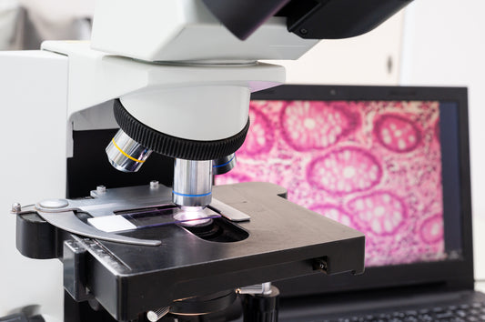 The Power of Digital Pathology