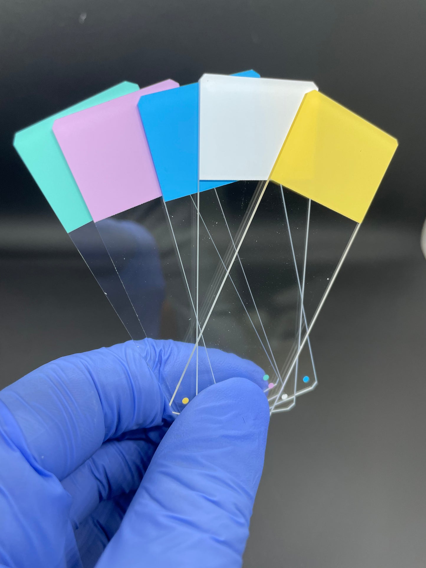 Color Frosted Microscope Slides (case) - Optimal Scientific