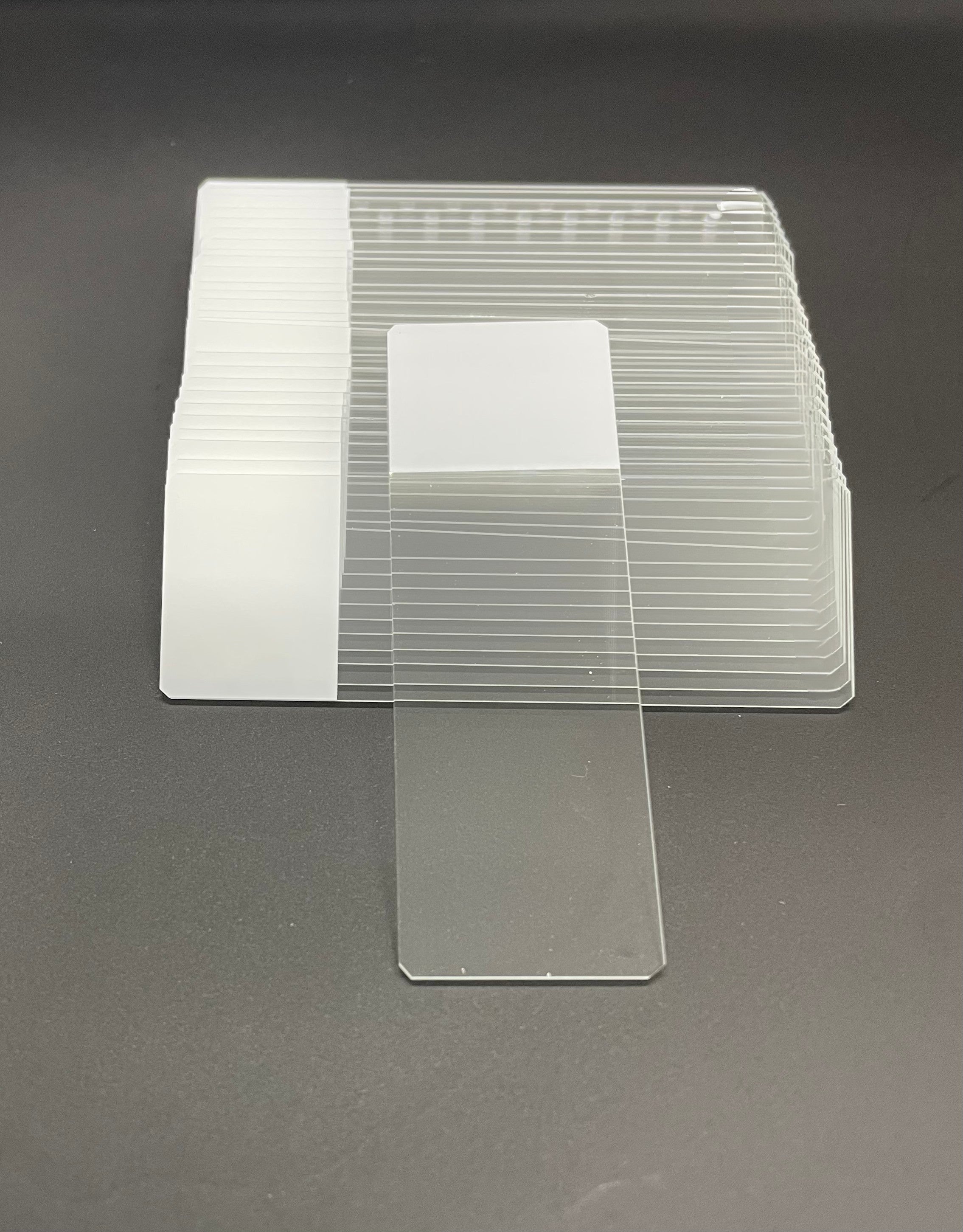 Charged Microscope Slides – Frosted, Ground Edges, 25x75mm, Pack of 72 ...