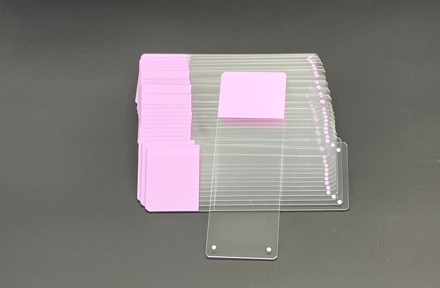Color Frosted Microscope Slides (case) - Optimal Scientific
